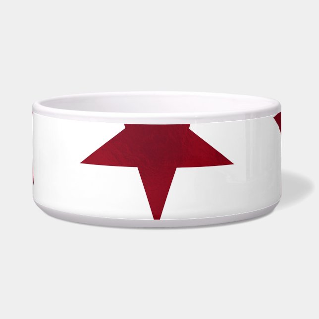 ゴールデンスターパターン7 ボウル (正面)