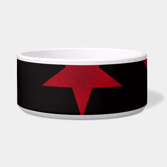 ゴールデンスターパターン8 ボウル (正面)