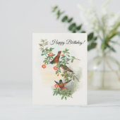 ゴールデンスターフロントレットのポストカード ポストカード (スタンド正面)