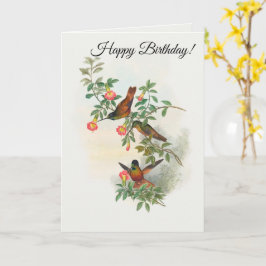 ゴールデンスターフロントレット カード