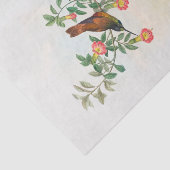 ゴールデンスターフロントレット、デコページ 薄葉紙 (詳細)