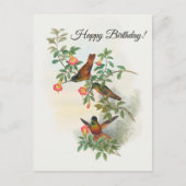 ゴールデンスター・フロントレットのポストカード ポストカード (正面)