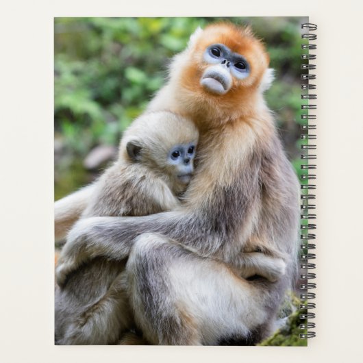 ゴールデンスナブ鼻のサルとベビー プランナー手帳 (裏面)