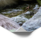 ゴールデンスナブ鼻のサルとベビー ポスター (角)