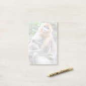 ゴールデンスナブ鼻のサルとベビー ポストイット (デスク上)