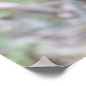 ゴールデンスナブ鼻モンキースイングオンブランチ ポスター (角)