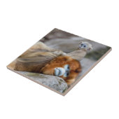 ゴールデンスナブ鼻モンキーパパとベビー タイル (側面)