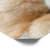 ゴールデンスナブ鼻モンキーパパとベビー ポスター (角)