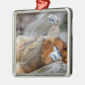 ゴールデンスナブ鼻モンキーパパとベビー メタルオーナメント (左)