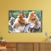 ゴールデンスナブ鼻モンキーファミリー キャンバスプリント (インサイチュ (リビング))