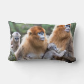 ゴールデンスナブ鼻モンキーファミリー ランバークッション (裏面)