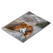 ゴールデンスヌブノーズモンキーパパウィズベビー ノートブック (左側)