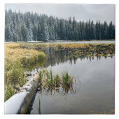 ゴールデンスノウ タイル (正面)