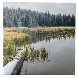 ゴールデンスノウ タイル