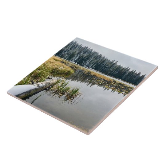 ゴールデンスノウ タイル (側面)