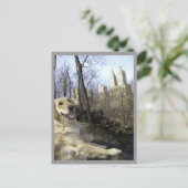 ゴールデンスマイルズインザセントラルパークランブルポストカード ポストカード (スタンド正面)