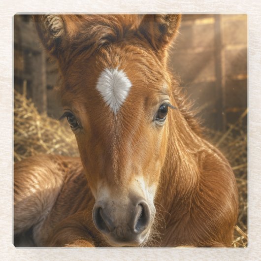 ゴールデンスランバー 優しい子馬 ガラスコースター (正面)