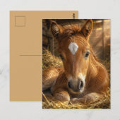 ゴールデンスランバー 優しい子馬 ポストカード (正面/裏面)