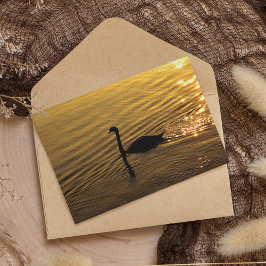 ゴールデンスワン カード