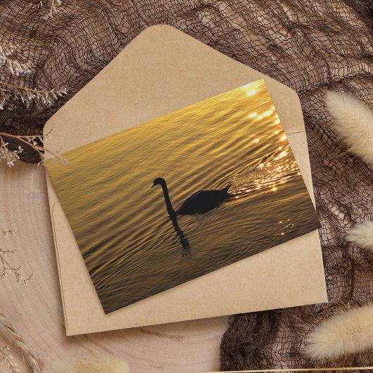 ゴールデンスワン カード