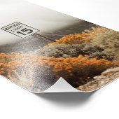 ゴールデンスージブラシ付きスピードリミット15サイン フォトプリント            (角)