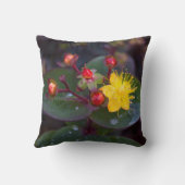 ゴールデンセントジョンズウォットフローラ装飾用クッション クッション (裏面)