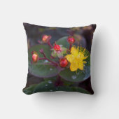 ゴールデンセントジョンズウォットフローラ装飾用クッション クッション (正面)