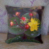 ゴールデンセントジョンズウォットフローラ装飾用クッション クッション