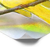 ゴールデンソングバード ポスター (角)