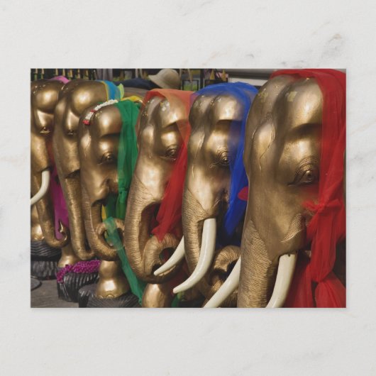 ゴールデンゾウ ポストカード (正面)