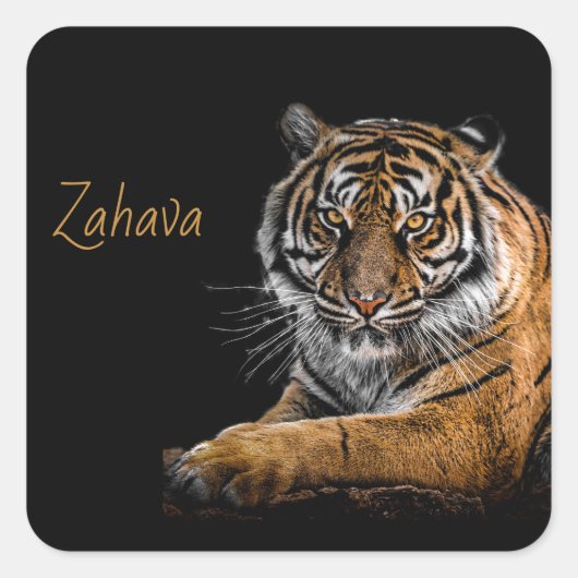 ゴールデンタイガーのシール スクエアシール (正面)