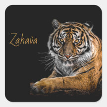 ゴールデンタイガーのシール