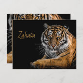 ゴールデンタイガーエンクロージャカード エンクロージャーカード (正面/裏面)