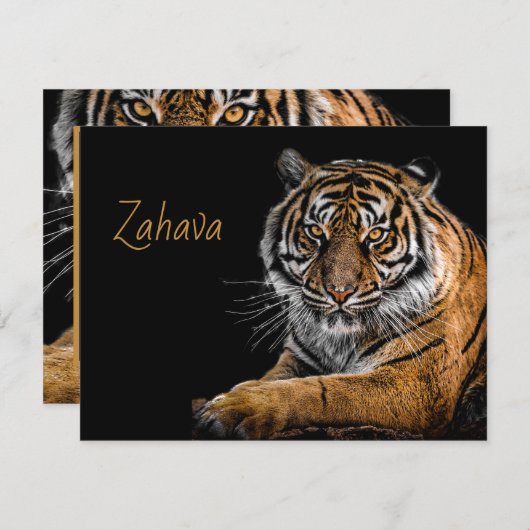 ゴールデンタイガーエンクロージャカード エンクロージャーカード (正面/裏面)