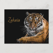 ゴールデンタイガーエンクロージャカード エンクロージャーカード (正面)