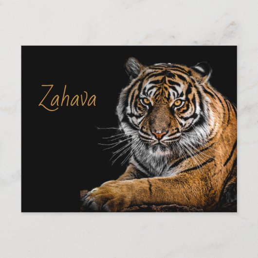 ゴールデンタイガーエンクロージャカード エンクロージャーカード (正面)