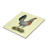 ゴールデンダックウィングヘン タイル (側面)