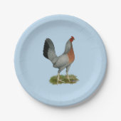 ゴールデンダックウィングヘン ペーパープレート (正面)