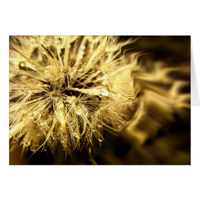 ゴールデンダンディドリームカード (正面横)