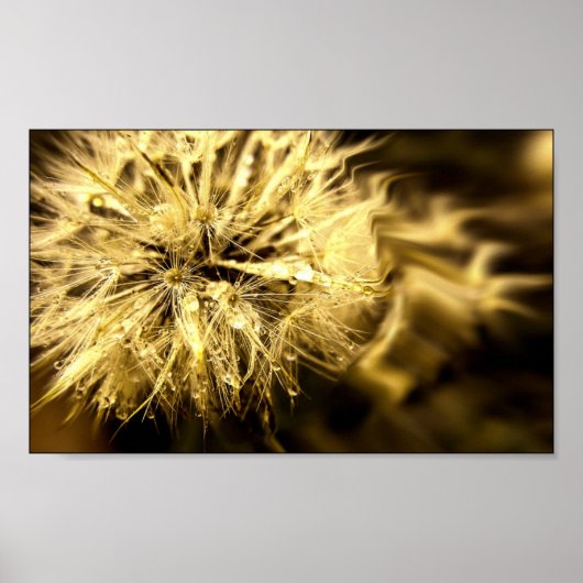 ゴールデンダンディドリームズ ポスター (正面)