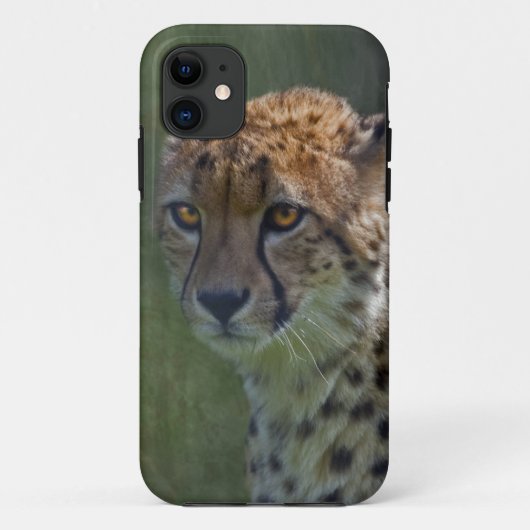 ゴールデンチーターiPhone 5ケースメイトのケース Case-Mate iPhoneケース (裏面)