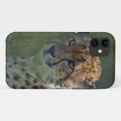 ゴールデンチーターiPhone 5ケースメイトのケース Case-Mate iPhoneケース (裏面(横))