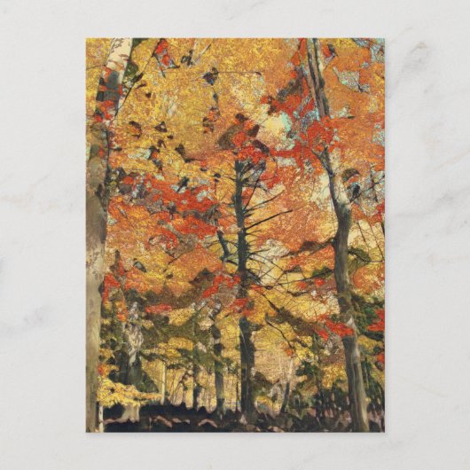 ゴールデンツリー ポストカード (正面)