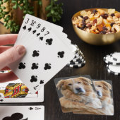 ゴールデンテトリエバーの孤立した犬 トランプ (インサイチュ)