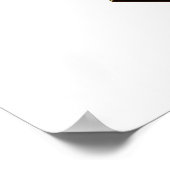 ゴールデントランプのポーカーガール2 ポスター (角)