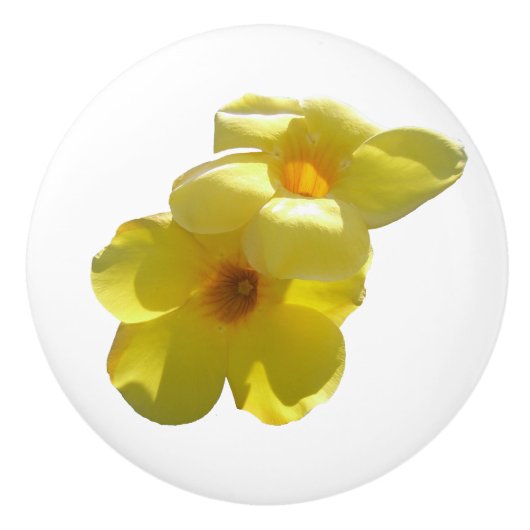 ゴールデントランペット花I セラミックノブ (正面)