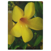 ゴールデントランペット花IIトロピカル クリップボード (裏面)