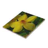 ゴールデントランペット花IIトロピカル タイル (側面)