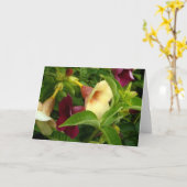 ゴールデントランペット カード (黄色い花)