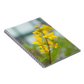 ゴールデントリアリス ノートブック (右側)